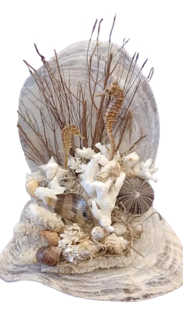 2Shell art shell show art 2023 copy