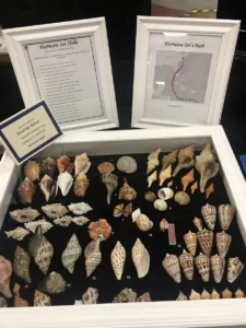 Shell Show one of the winning scientific entries copy