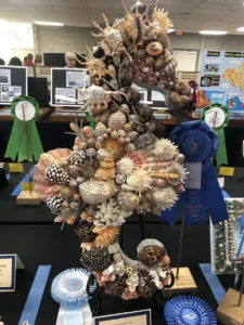 Shell show art copy