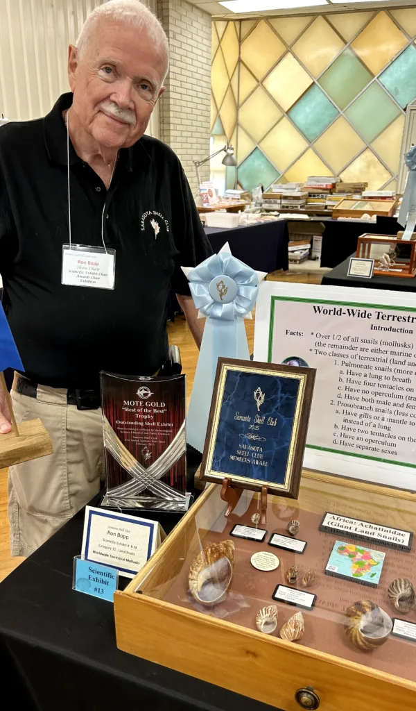 14Sarasota_Shell_Club_Show_2025